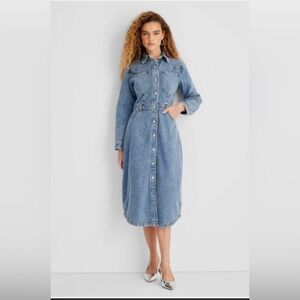 Future Collective Long Sleeve Denim Dress